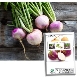 Purple Top Turnip Seeds for Planting, 1000+ Heirloom Seeds Per Packet, (Isla's Garden Seeds), Non GMO Seeds, Botanical Name: Brassica rapa subsp. rapa, Great Home Garden Gift