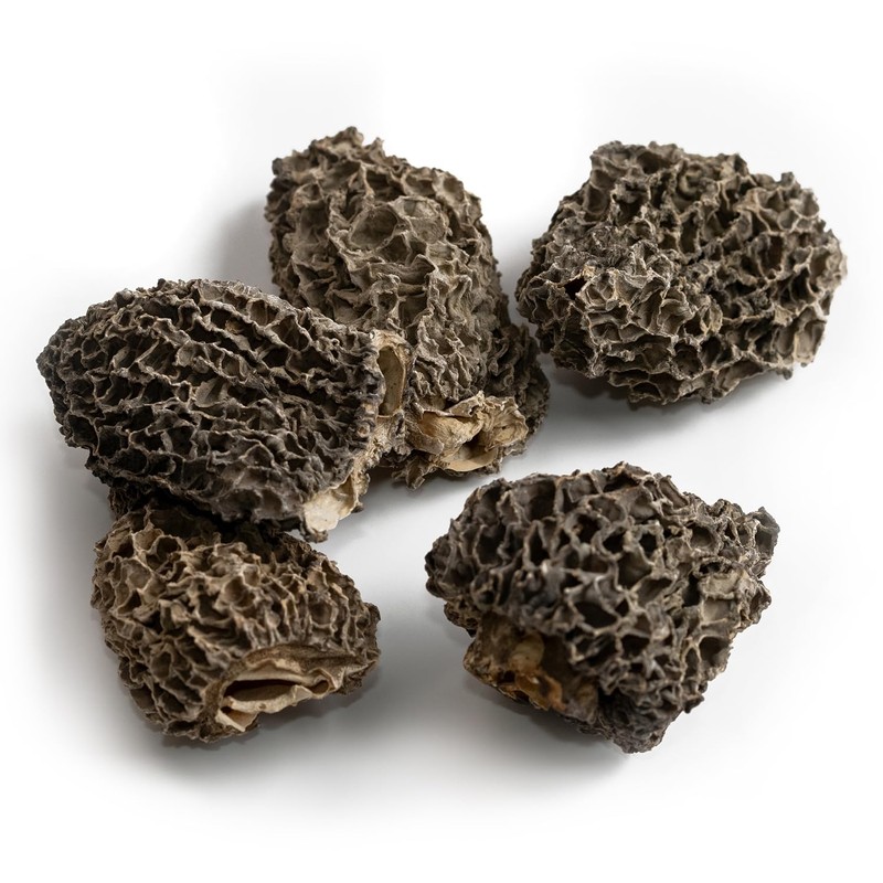 MARKY'S Jumbo Dried Morel Mushrooms - 1 oz / 28