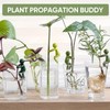 ChengJin 3PCS Plant Propagation Friends,Cute Plant Propagation Buddy,Aquatic Plant Support,Funny