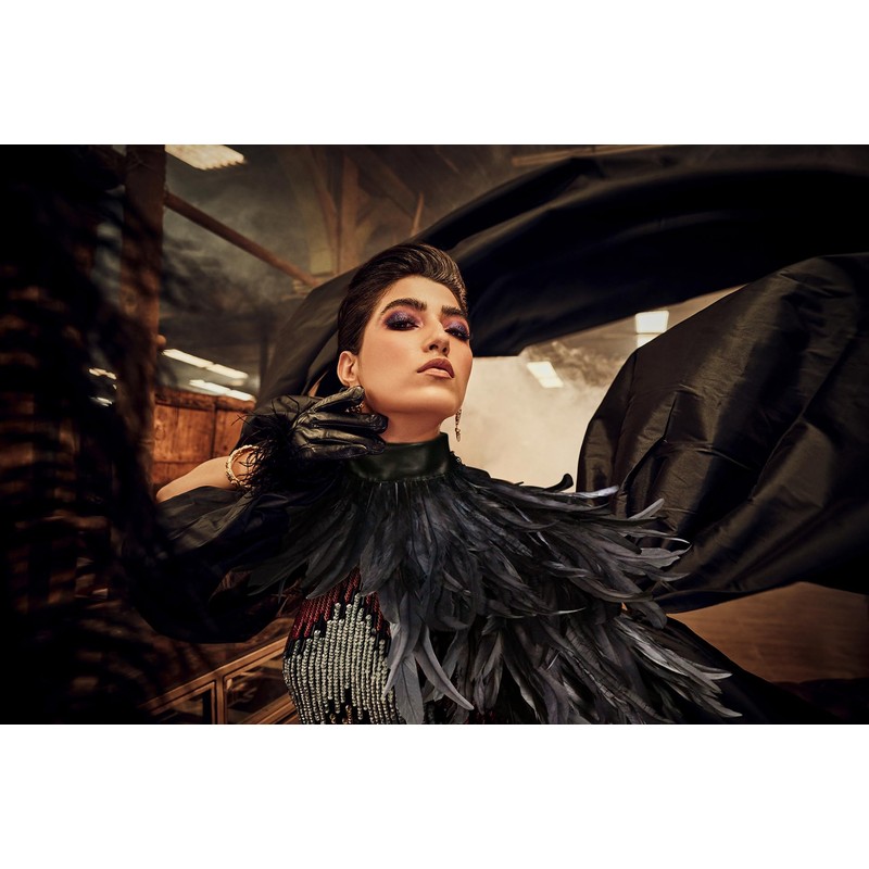 Homelex Gothic Real Black Feather Cape Shawl Shoulder Wings Choker