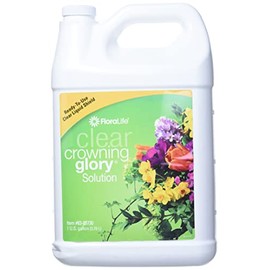 Smithers Oasis Floralife Clear Crowning Glory-1 Gallon Lawn Garden, White