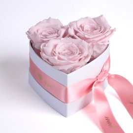ROSEMARIE SCHULZ Heidelberg Infinity Rose Box Heart - 10 x 12 cm Eternal Roses Pink Durable 3 Years Valentine's Day Gift Box for Girlfriend (I Love You, Pink)