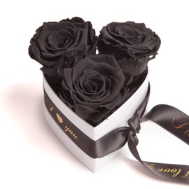 ROSEMARIE SCHULZ Heidelberg Infinity Rose Box Heart - 10 x 12 cm 3 Preserved Black Roses Durable 3 Years Women - Valentine's Day Gift Box for Her (I Love You, Black)
