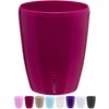 SANTINO Orchid Pot Diameter 12 cm Self-Watering Pot with Wick