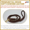 BlazingPaws® Elegania 6 Ft Premium Leather Dog Leash for Large