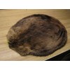 Tanned Beaver Hide Fur #2 Quality Damaged