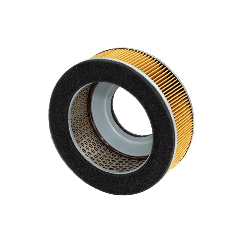Hiflofiltro HFA2911 Filtro de Aire Premium OE de Repuesto Negro