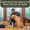 Asher House Wellness Probiotics Digestive Chew for Dogs - Dog