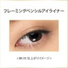 【旧型モデル】コフレドール フレーミングペンシルアイライナー BK-35 ブラック系