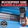 Chemical Guys Nice and Wet Tire Shine (Aerosol) (2 Pack)