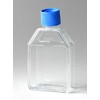 Flask, Cell Culture (353109)