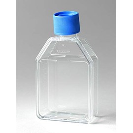 Flask, Cell Culture (353109)