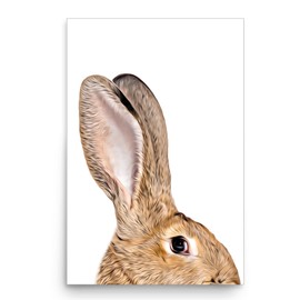 Funny Curious Sandy Flemish Giant Rabbit Peeking Look Out Poster 12x18 Inch Unframed - Farm Owners Gift