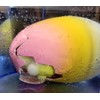 Incredible Novelties - Mega Unicorn Egg, Growing Unicorn Hatch from