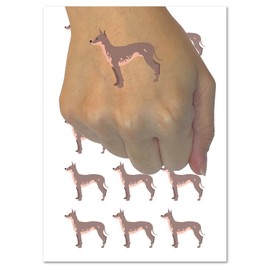 American Hairless Terrier Dog Solid Temporary Tattoo Water Resistant Fake Body Art Set Collection - 54 1" Tattoos (1 Sheet)