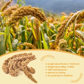 KATUMO Spray Millet Treats, 7Oz / 200g Natural Sun-Dried Bird Treats Parakeet Treats for Conure Cockatiel Finch Pigeon Hamster Canary Treats