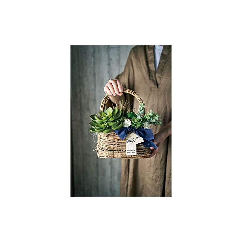 Ohashi Shinji Shoten KN011196-zzz Basket Basket Shabby Willow Oval Basket