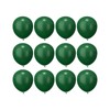 12 inch Dark Green Latex Balloons, 60 pcs Thick Dark