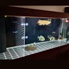 HingoFuni Aquarium Fish Tank Divider Acrylic Isolation Grid Board with