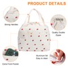 Insulated Lunch Bag Reusable Leakproof Lunch Box Bag Cooler Bags