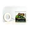 Generic Tiny Terrarium Kit for Springtails (4x4 inch) - BioActive