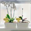 Torfican 5 Set Window Herb Planter Box Rectangular,8.5x3.5 Inch White