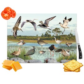 British Wetland Bird Ornithophile, Birder Wall Toughened Glass Heat Resistant Worktop Saver Cutting and Chopping Board Gift