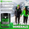 KEY ELEMENTS Organic Shilajit Gummies with Sea Moss Gummies -