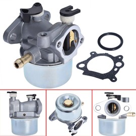 raseparter 799866 Carburetor Replacement for 794304 796707 790845 799871 Most 124000 122000 Model Engines for TB230 2009 Recycler 22 Inch Mower with 190cc Engine