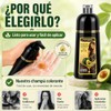 Shampoo para Canas, Hair Dye Shampoo Cubre Canas al Instante,