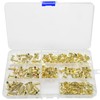 100 Sets Chicago Screws,Leather Rivets Sets with Five Sizes (Gold)