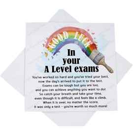 Good Luck A Level Exams Card, Son Daughter Grandson Granddaughter A Levels Card with Poem Verse, Rainbow Paintbrush