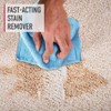 Hoover Pet Spot and Stain Remover, Pet Formula for Carpet