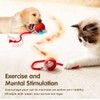 Interactive Rolling Ball Electric Ball Automatic Toy Self Moving for