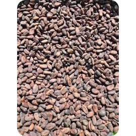 1 Kilogramo De Cacao Seco Fermentado