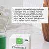 2 Pack: Crisp Apple Chlorophyll