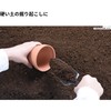 Takagi Stainless Steel Joint Handle Transplanting Trowel Silver (Stainless Steel)