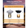 Noobibaba PAR36 LED Bulb Color Changing, RGB PAR36 LED Landscape