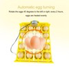 Egg Turning Tray Multifunction Automatic Egg Turner Incubator Tray for