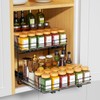 RCHYFEED Spice Organization for Cabinet,2 Tier Pull out Spice Rack