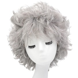 Fujitatsu QB-F17 Afro Wig, Afro Hair, Afro Wig, Perm, Heat Resistant, Cosplay, Wig, Fun, Party Goods, Outfit, Wig Net, Gray Silver