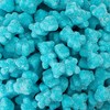 Sour Gummi Bears Candy 2-Pound Bag | Blue Raspberry Chewy