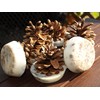 Kindlecone - Natural pine cone firelighters - Summer Garden -