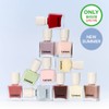 Lement Color Nail 14ml (12 Colors) - [SET] Dazzling Nail