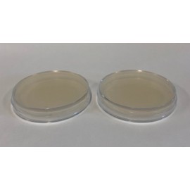 Prepoured Agar Plate Petri Dishes Growing Kit Science Projects Supplies Culture Dishes for School Science Seedling 9CM (2)
