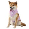 Dog Tuxedo Suit and Bandana Set Boy Dog Prince Bow