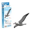 EUGY Royal Albatross 3D Model Craft Kit