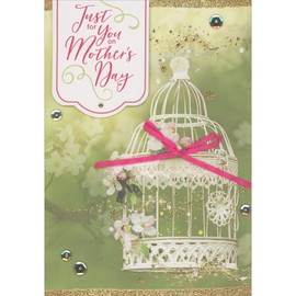 Designer Greetings Just For You White 3D Die Cut Banner, Silver Sequins and Pink Bow on White Bird Cage Hand Decorated Mother's Day Card