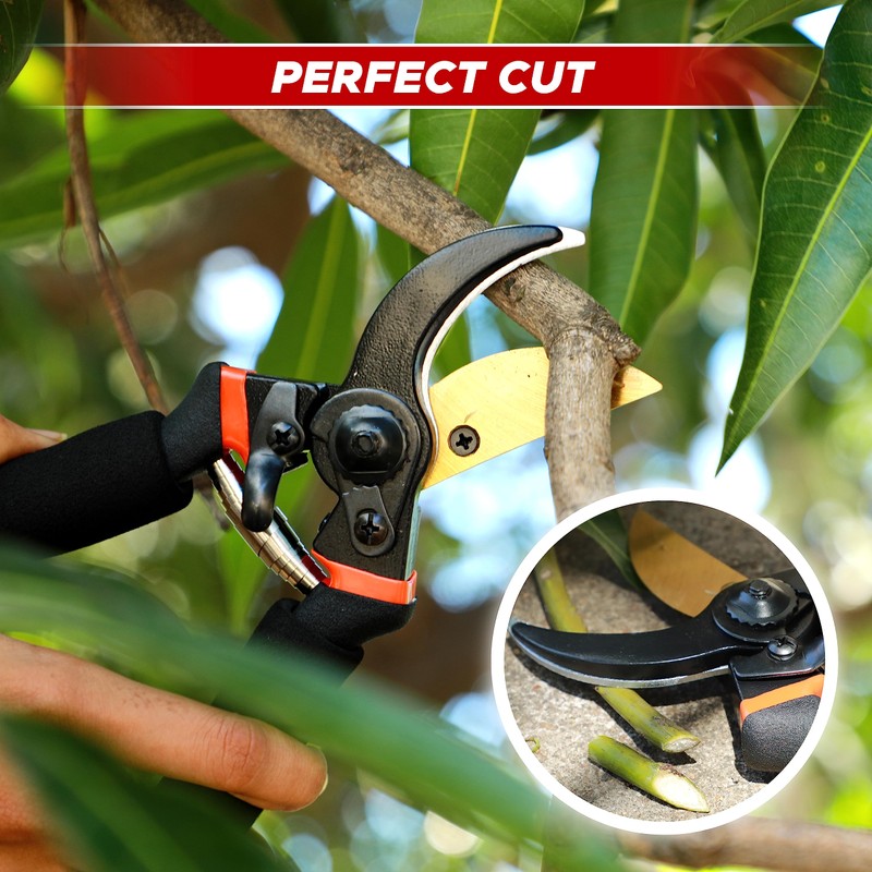 EcoNour 8" Professional Secateurs Premium Titanium Bypass Pruning Shears |