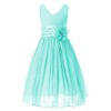 Bow Dream Flower Girl Dress Junior Bridesmaids V-Neckline Chiffon Mint